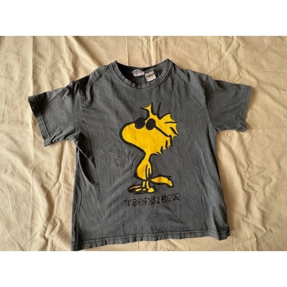 Zara Woodstock Peanuts T-shirt Girls 9-10 Y Gray Graphic Print Logo Short Sleeve
